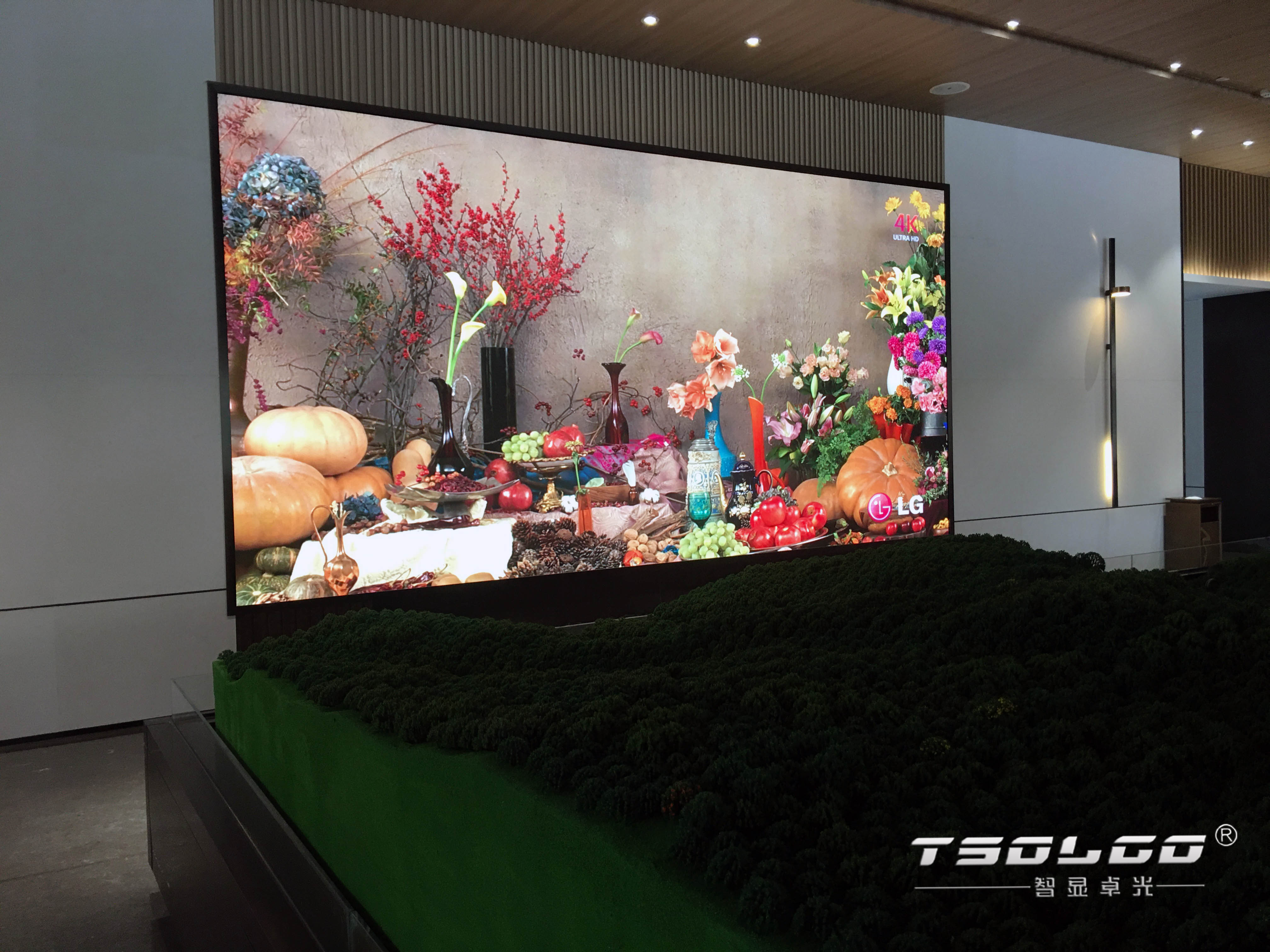 祥生小镇•云溪九里康养小镇展厅